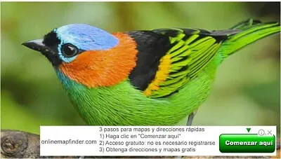 פאזל של BANDARRA