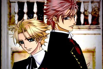 פאזל של vampire knight