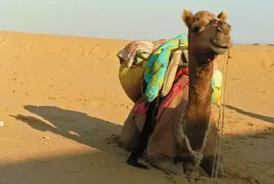 FaraÃ³n jigsaw puzzle