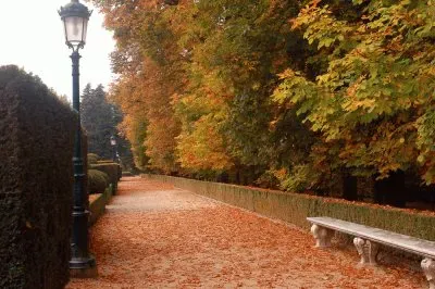 FaraÃ³n jigsaw puzzle