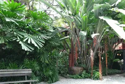 FaraÃ³n jigsaw puzzle