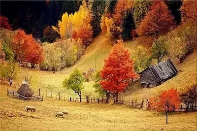 Otoño alpino