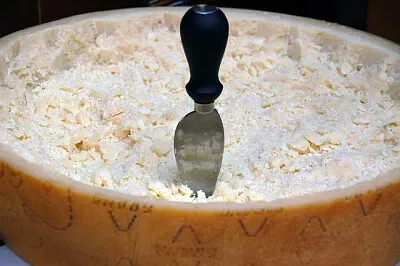 a jigsaw puzzle