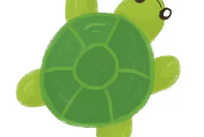 פאזל של 烏龜