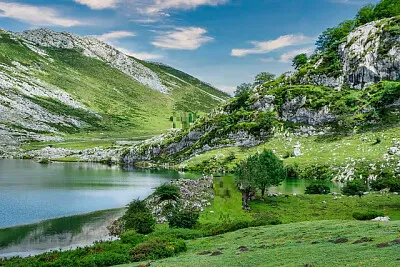 Nature jigsaw puzzle