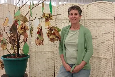 ענת טבע ואדמה