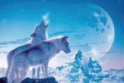 Loups sous la Lune