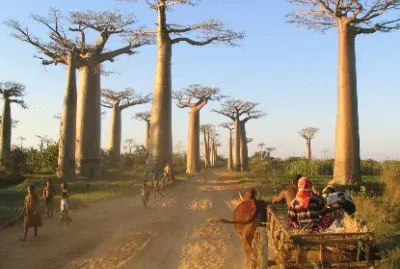 FaraÃ³n jigsaw puzzle