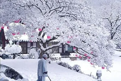 imagem jigsaw puzzle