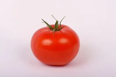 MATO MATO TOMATO