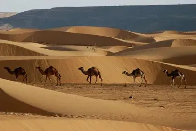 FaraÃ³n jigsaw puzzle