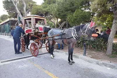 Promenade en calèche Malte