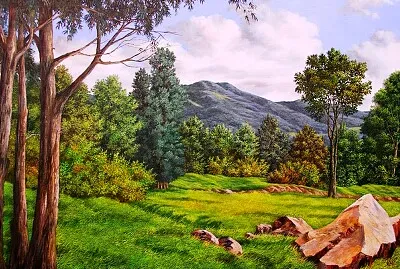 Campo