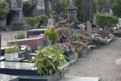 FaraÃ³n jigsaw puzzle