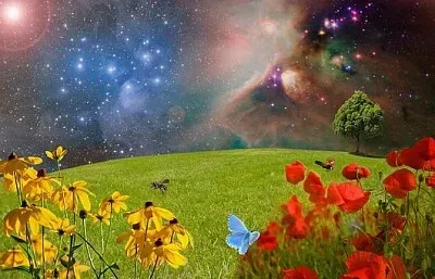  jigsaw puzzle