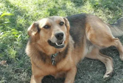 La Negrita jigsaw puzzle