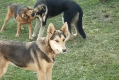 Madre e Hijos jigsaw puzzle