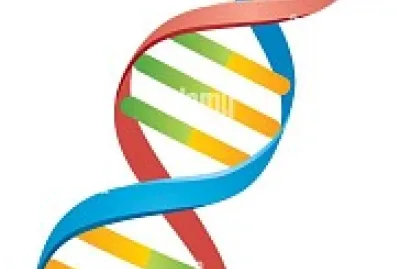 dna jigsaw puzzle