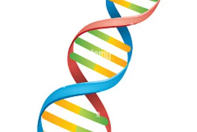 dna jigsaw puzzle