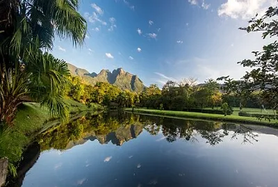 Nature