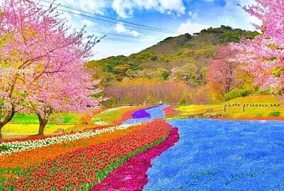 imagem jigsaw puzzle