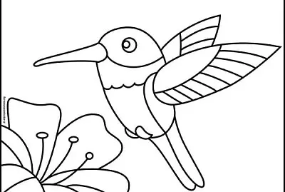 picaflor para niños