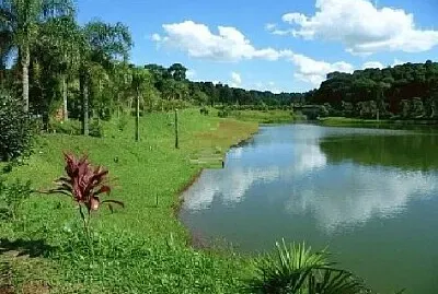 פאזל של Nature