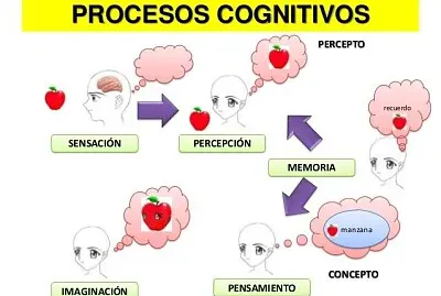 Paradigma cognitivo