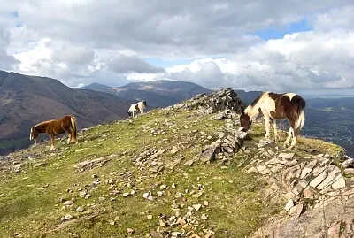 Potoks sur le massif de Larla