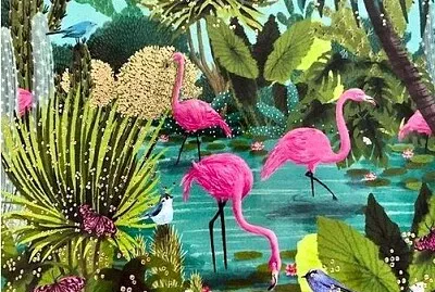 naïf brésilien ibis roses