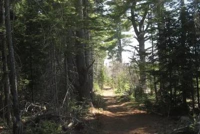 I love this part of the path