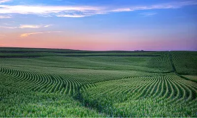 Siembra jigsaw puzzle