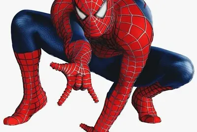 Homem aranha