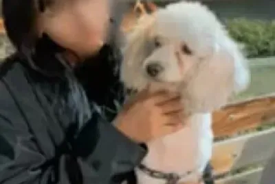 Veamos si adivinas de qué se trata el rompecabezas