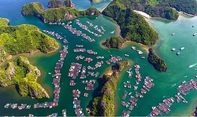 Salmonera jigsaw puzzle