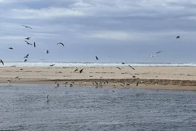 La plage Landes