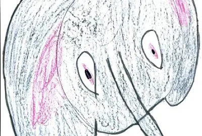 Il puzzle dell 'elefante