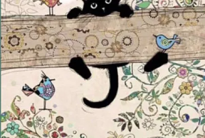 gatto