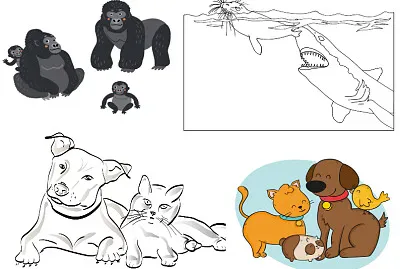 פאזל של FUNCIONES VITALES