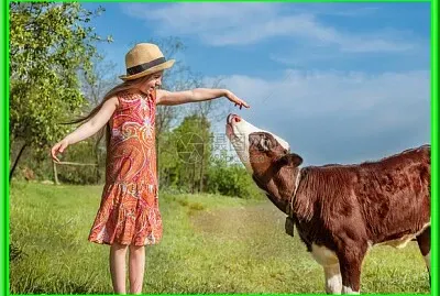 פאזל של Prise de contact