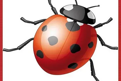 La Coccinelle