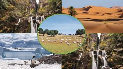 Ecologia - Grupo da Sala 12 jigsaw puzzle