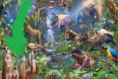 jungle