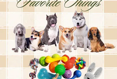 My Dogs Favorite Things