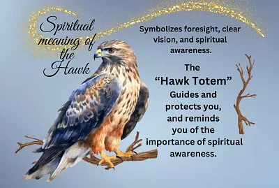 The Hawk jigsaw puzzle