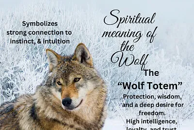 פאזל של Wolf
