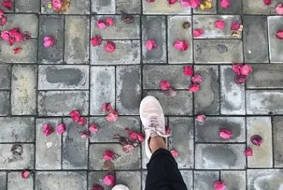 פאזל של Amanda Siqueira