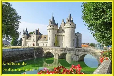 Château de Sully sur Loire jigsaw puzzle
