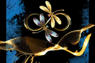 פאזל של Discovery