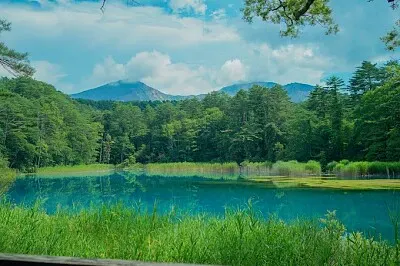פאזל של Nature